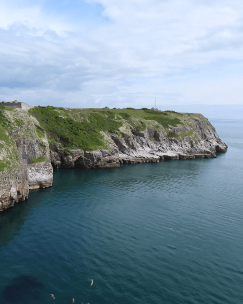 Berry Head National Nature Reserve